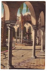 043  COUR DE LA MOSQUEE DU PACHA